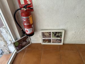 Photos of animals on the walls  at El Vergel Veggie Restaurant in Tarragona