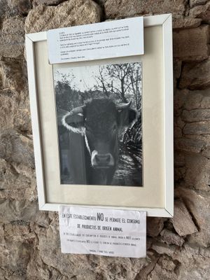 Beautiful cow  at El Vergel Veggie Restaurant in Tarragona