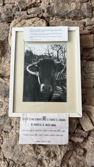   at El Vergel Veggie Restaurant in Tarragona