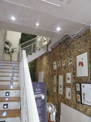 stairway up to the restaurant at El Vergel Veggie Restaurant in Tarragona