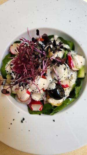 Ensalada fresca at El Vergel Veggie Restaurant in Tarragona