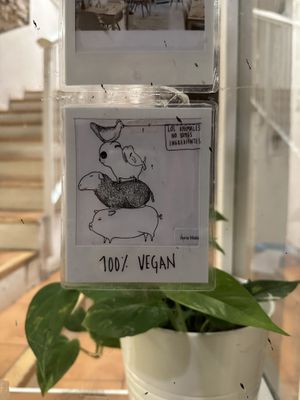   at El Vergel Veggie Restaurant in Tarragona