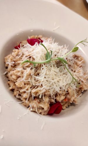  at El Vergel Veggie Restaurant in Tarragona