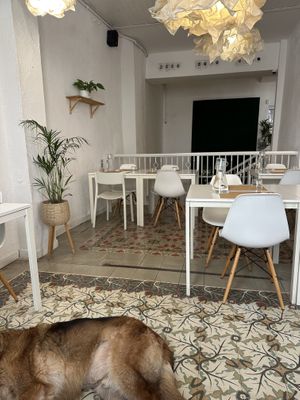 Lovely atmosphere   at El Vergel Veggie Restaurant in Tarragona