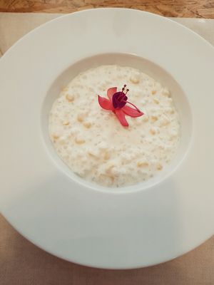 Tapioca with coconut milk and sweet corn at El Vergel Veggie Restaurant in Tarragona
