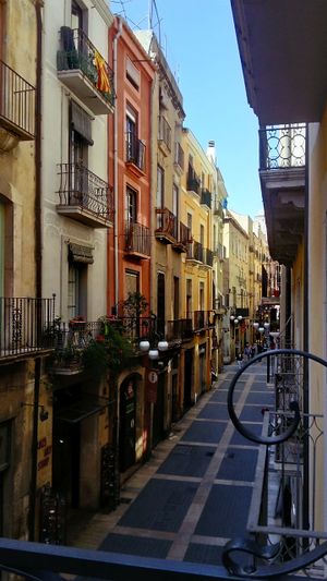 Cool view at El Vergel Veggie Restaurant in Tarragona