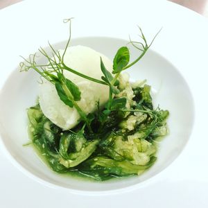 Ensalada de alga wakame y pepino con sorbete de pepino  at El Vergel Veggie Restaurant in Tarragona