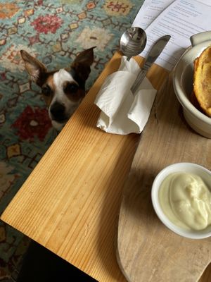 Dog friendly!  at Argyll Hotel Restaurant in Isle Of Iona