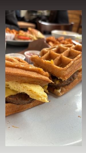   at Democracy* in Hamilton