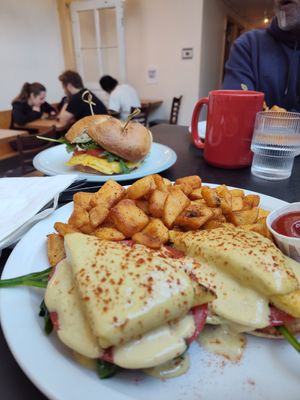  at Democracy* in Hamilton