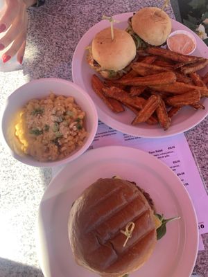   at Democracy* in Hamilton