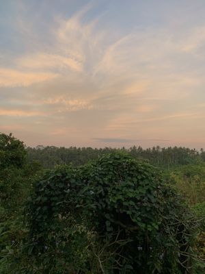   at Elephant Cafe in Ubud