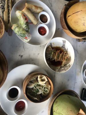Vietnamese rolls, dumpling and gyoz   at Elephant Cafe in Ubud
