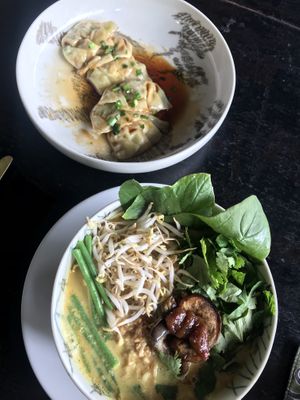 Vegan gyoza and laksa  #Veganuary at Elephant Cafe in Ubud