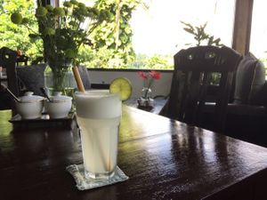 view and lime juice at Elephant Cafe in Ubud