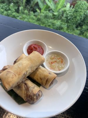 Spring Rolls  at Elephant Cafe in Ubud