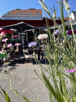 Cafe Mima june 2021 at Cafe Mima in Vienna