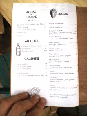 Carta, Bebidas at Naturalissimo - Guadalupe in San Cristobal De Las Casas