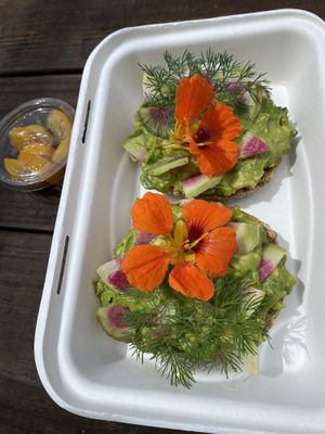 Avocado toast 😍 at Good Eden in New Orleans