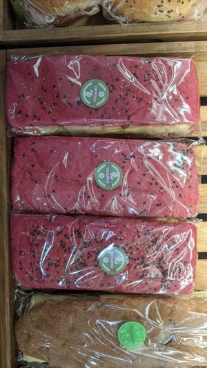  at Marcopolo Freelife in Ushuaia