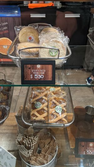  at Marcopolo Freelife in Ushuaia