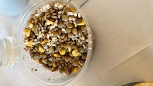 ensalada de elote y lentejas   at Marcopolo Freelife in Ushuaia