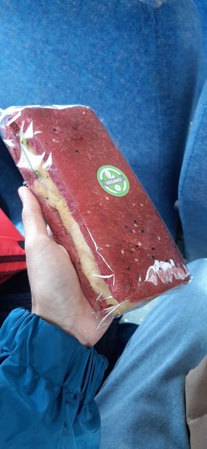 Pão de beterraba rechado com hummus e abobrinha at Marcopolo Freelife in Ushuaia