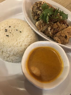Chicken and rice   at Nature Cafe 自然疏食 - The Aperia in Central Singapore