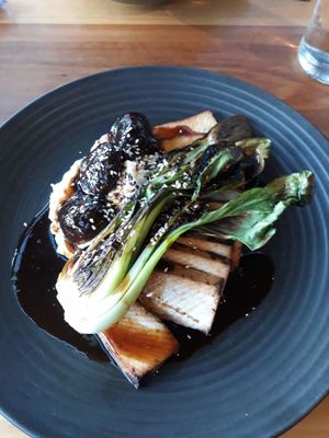 Tofu steak  at Vege Rama in West End