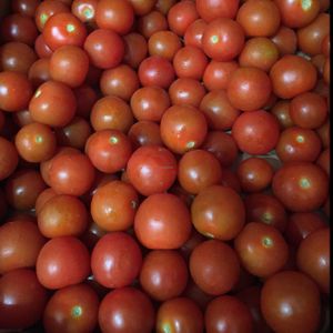 organic cherry tomatoes :) at Etenoha in Torremolinos