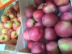 fantastic local organic apples in December 2016 at Etenoha in Torremolinos