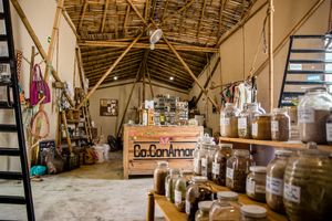 Buy all you need in Bulk at Co.ConAmor in Tulum