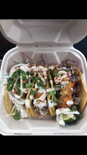 “Fish” tacos. at Tucos Taco Lounge in Sudbury