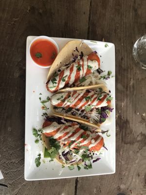 Buffalo tempeh taco (the tempeh is SO GOOD!!)  at Tucos Taco Lounge in Sudbury