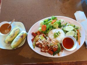 Avocado spring rolls and tofu, rice and steamed veggies at Lilly's Cafe in New Orleans