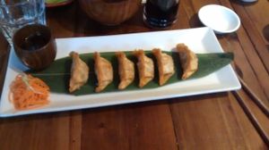 Dumplings at Sushi Momo in Montreal