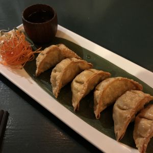 Gyoza at Sushi Momo in Montreal