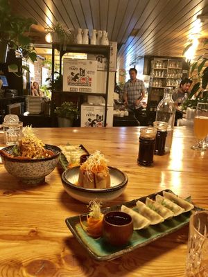 Papaya salad + spring rolls + dumplings at Sushi Momo in Montreal