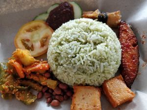 Nasi lemak at iVege 爱心素 in Central Singapore