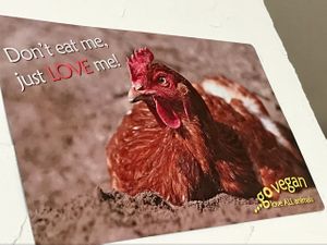 poster at Vegansky in Dortmund