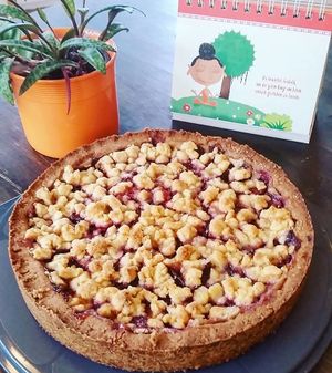 Tasty red berry crumbles cake at Veganatural in Giessen