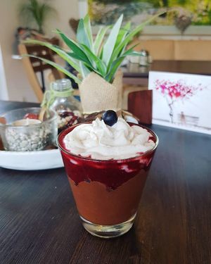 chocolate red berry desert with whipped cream at Veganatural in Giessen