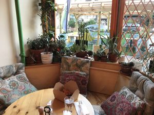 A cozy little haven, blessed by a family of house plants  at Jungle Cafe in Brooklyn