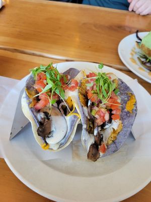  at Jungle Cafe in Brooklyn