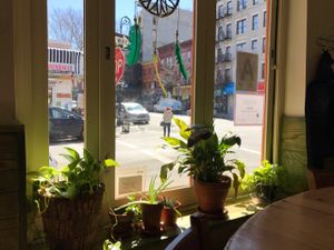 nice comer at Jungle Cafe in Brooklyn