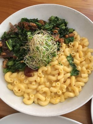 MAC n CHEEZ at Jungle Cafe in Brooklyn