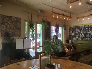 Ambiance + added meditative music  at Jungle Cafe in Brooklyn