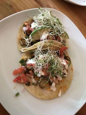 Spicy Tempeh Tacos with Avocado, Vegan Crema, Pico de Gallo, Sprouts at Jungle Cafe in Brooklyn