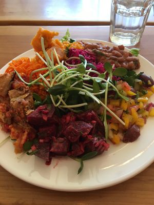 Buffet at Jungle Cafe in Brooklyn