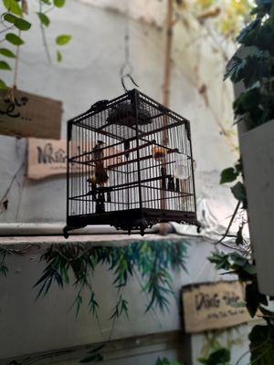  at Phuong Mai Vegetarian Restaurant in Ho Chi Minh City